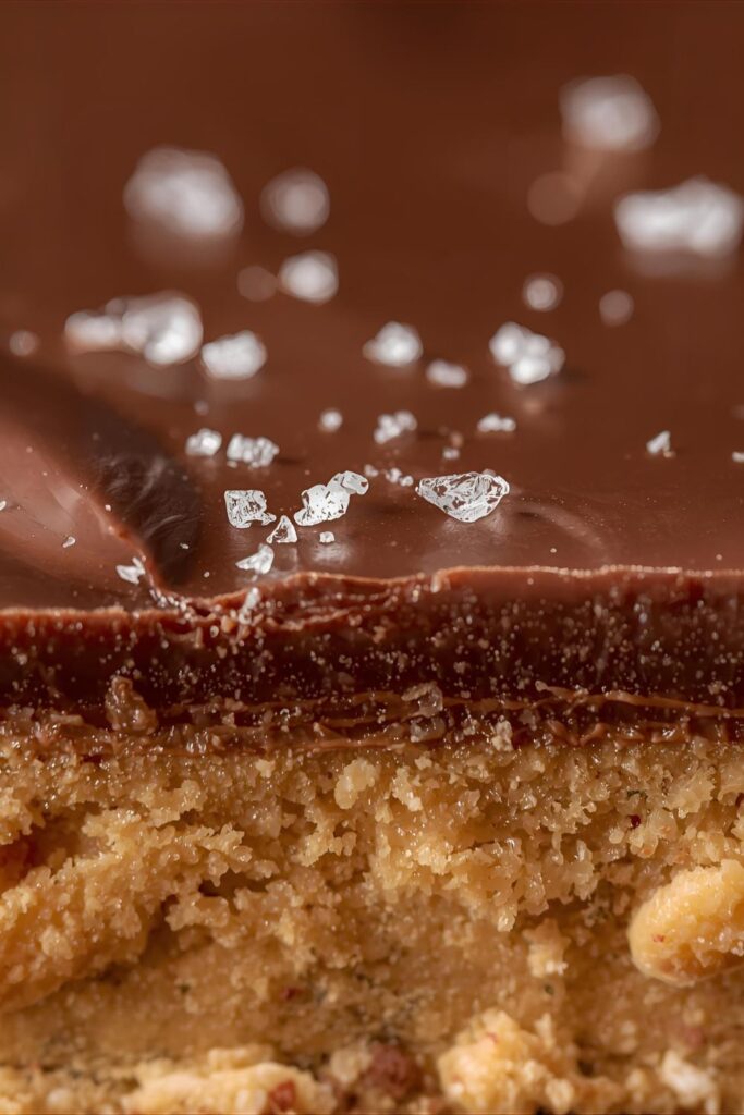 An extreme close-up macro shot of a single no-bake chocolate peanut butter bar, highlighting the different textures.