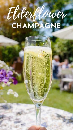 A close-up, high-detail shot of the classic sparkling elderflower champagne, next to a variation showing a darker, mead-like bubbly (brown sugar fermented) in a glass, topped with a piece of ginger.